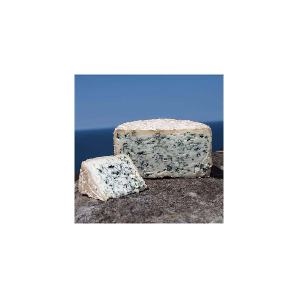 Bleu De Chèvre Du Pays Basque - Urdina Tomme