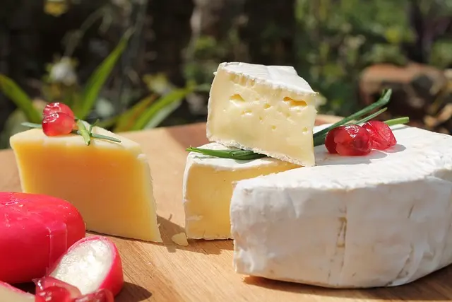 Les fromages du monde : Quelles variétés surprendre vos papilles ?