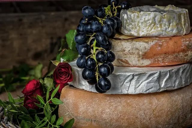 Les fromages à pâte persillée : variétés et secrets à connaître