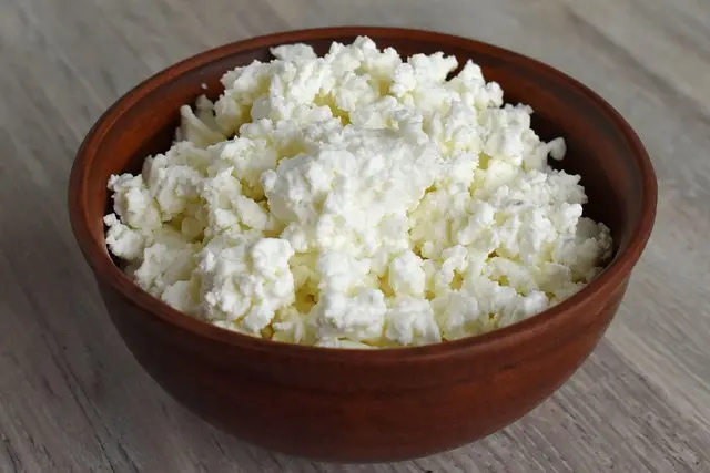 Les fromages du monde : 10 variétés à découvrir absolument
