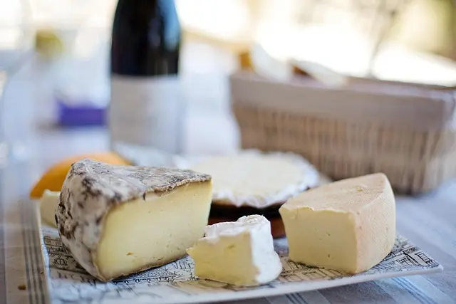 Les meilleures recettes à base de fromage à découvrir