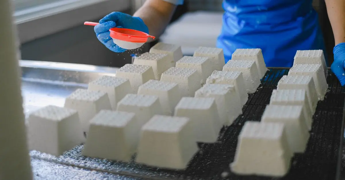 Les fromages artisanaux du monde : secrets et traditions