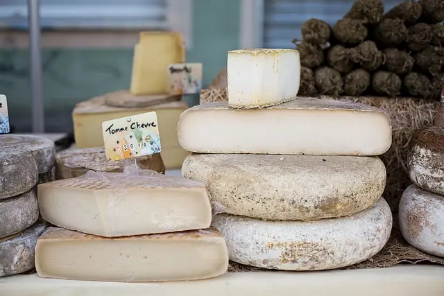 Les fromages de chèvre du monde : 7 variétés à découvrir