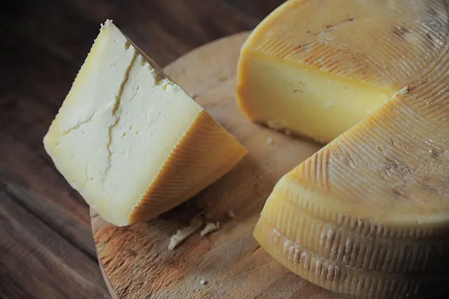 Les fromages crémeux du monde : 7 variétés à explorer