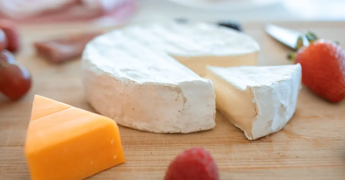 Les fromages fermentés du monde : Délices à découvrir