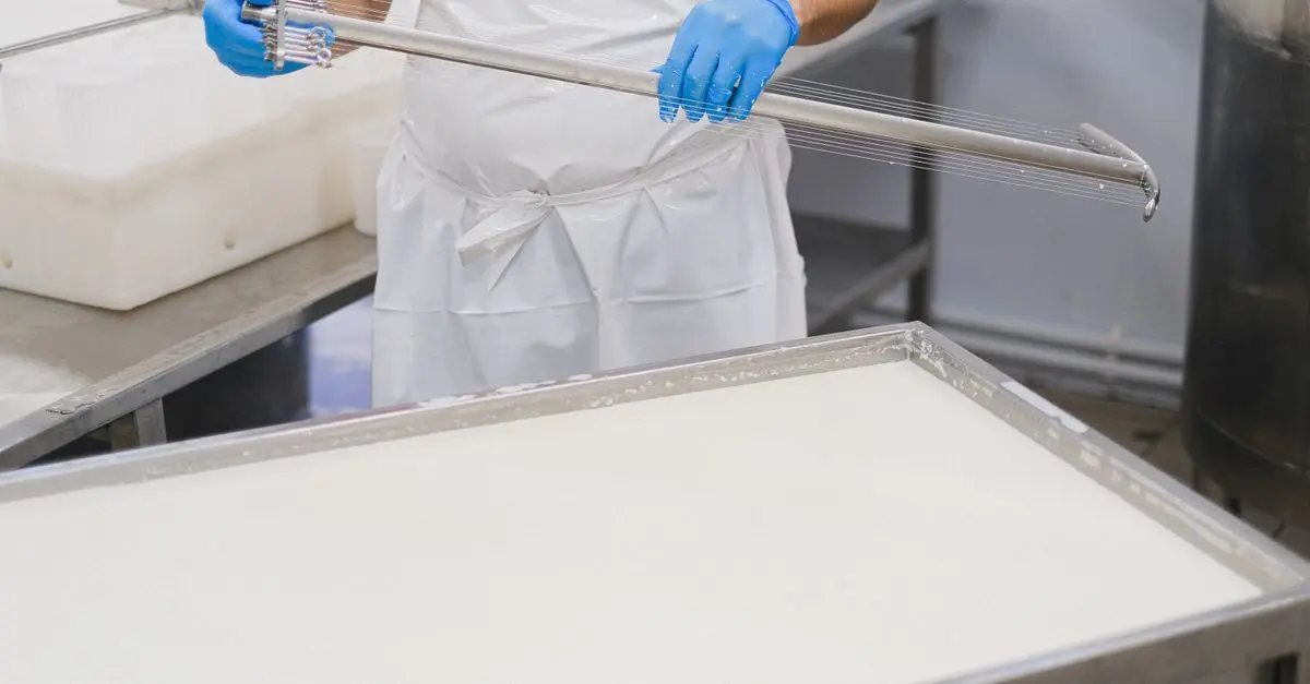 Comment le fromage est-il fabriqué ? Les étapes clés