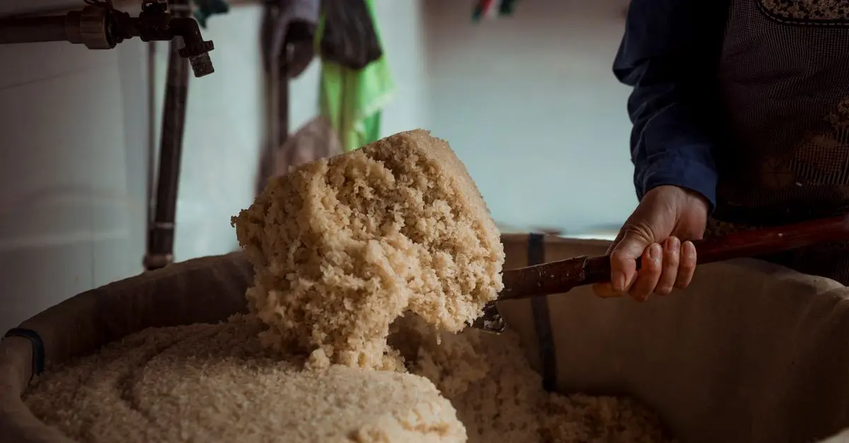 L'art du fromage : des traditions aux tendances