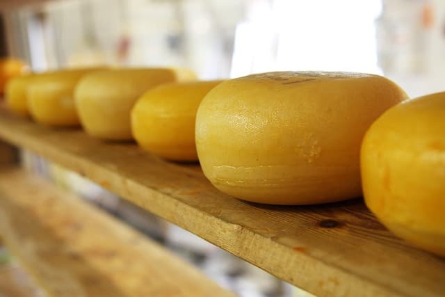 Les fromages argentins à découvrir : traditions et saveurs