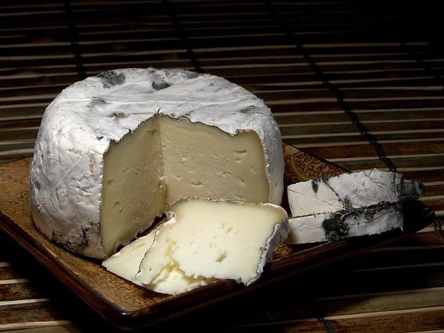 Les fromages à pâte molle du monde : variétés et spécificités