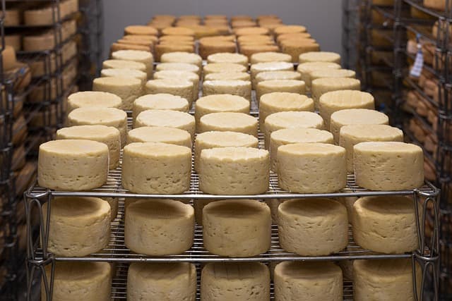 Les fromages fermentés du monde : une découverte savoureuse