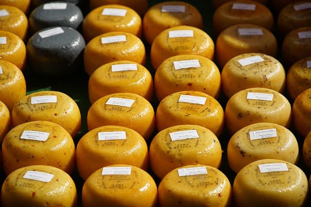 Le voyage des fromages à travers les cultures